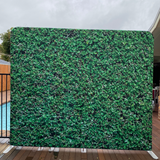 Green Hedge Wall